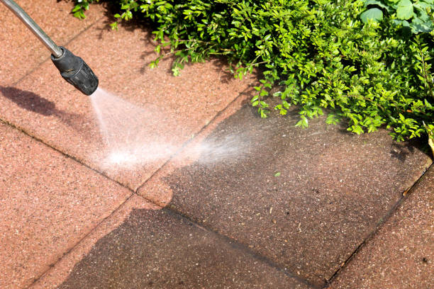 Best Pressure Washing Near Me  in Harwood Heights, IL